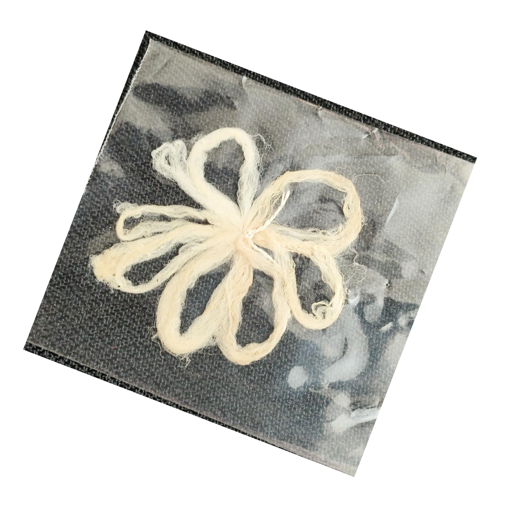Lotus Wicks for Puja | Thamarai Thandu Thiri | Lotus Stem Wicks for Pooja | Tamara Vathulu Wick | Original - Bring Home Prosperity and Abundance and Lakshmi