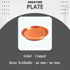 Miniature Food Plate - Round – Pack of 5