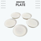 Miniature Food Plate - Round – Pack of 5