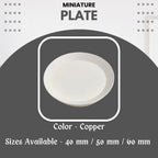 Miniature Food Plate - Round – Pack of 5