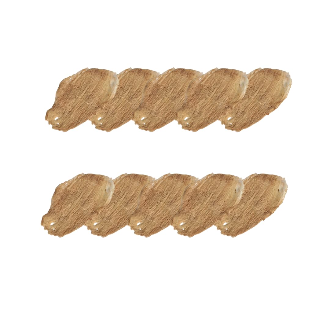 Vazhaithandu Thiri (Pack of 10) / Arati Dindu Vatthulu/Banana Stem Wicks for Pooja Deepam | Natural Handmade Thiri for Temple and Home Use