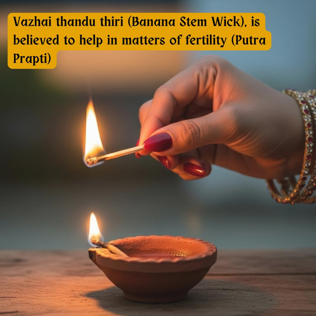 Vazhaithandu Thiri (Pack of 10) / Arati Dindu Vatthulu/Banana Stem Wicks for Pooja Deepam | Natural Handmade Thiri for Temple and Home Use