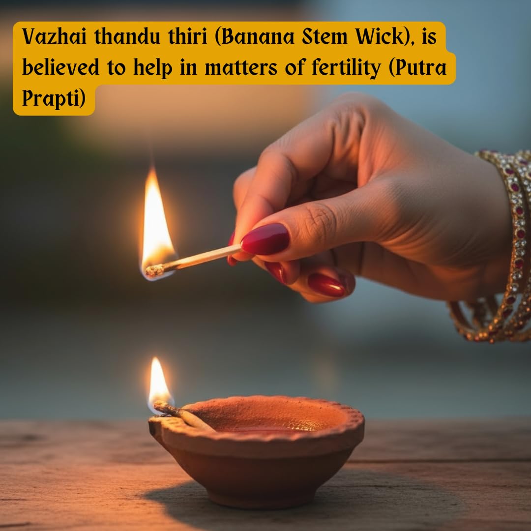 Vazhaithandu Thiri (Pack of 10) / Arati Dindu Vatthulu/Banana Stem Wicks for Pooja Deepam | Natural Handmade Thiri for Temple and Home Use