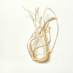 Crown Flower Stem Wicks (Pack of 5) | Erukkam Thiri | Jilledu Vathulu | Vellerukku Thiri for Lord Ganapathy Vinayagar Deepam Gives Long Life, removes Evil and Black Magic Effects