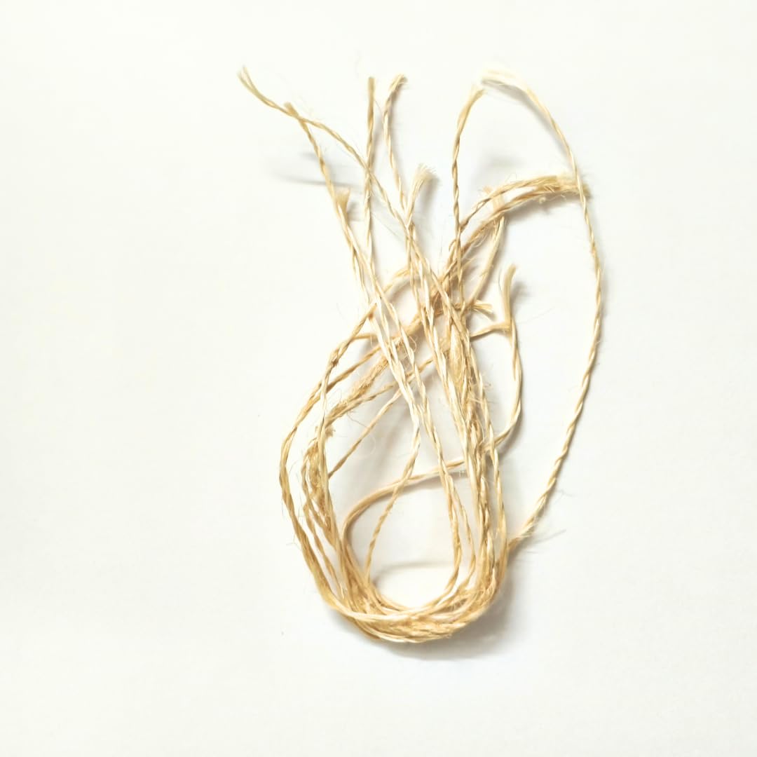 Crown Flower Stem Wicks (Pack of 5) | Erukkam Thiri | Jilledu Vathulu | Vellerukku Thiri for Lord Ganapathy Vinayagar Deepam Gives Long Life, removes Evil and Black Magic Effects