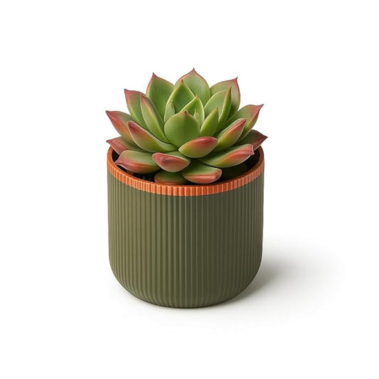 Stylish Olive Green Pot with Copper Accent for Desk or Shelf (Medium 7cm Height)
