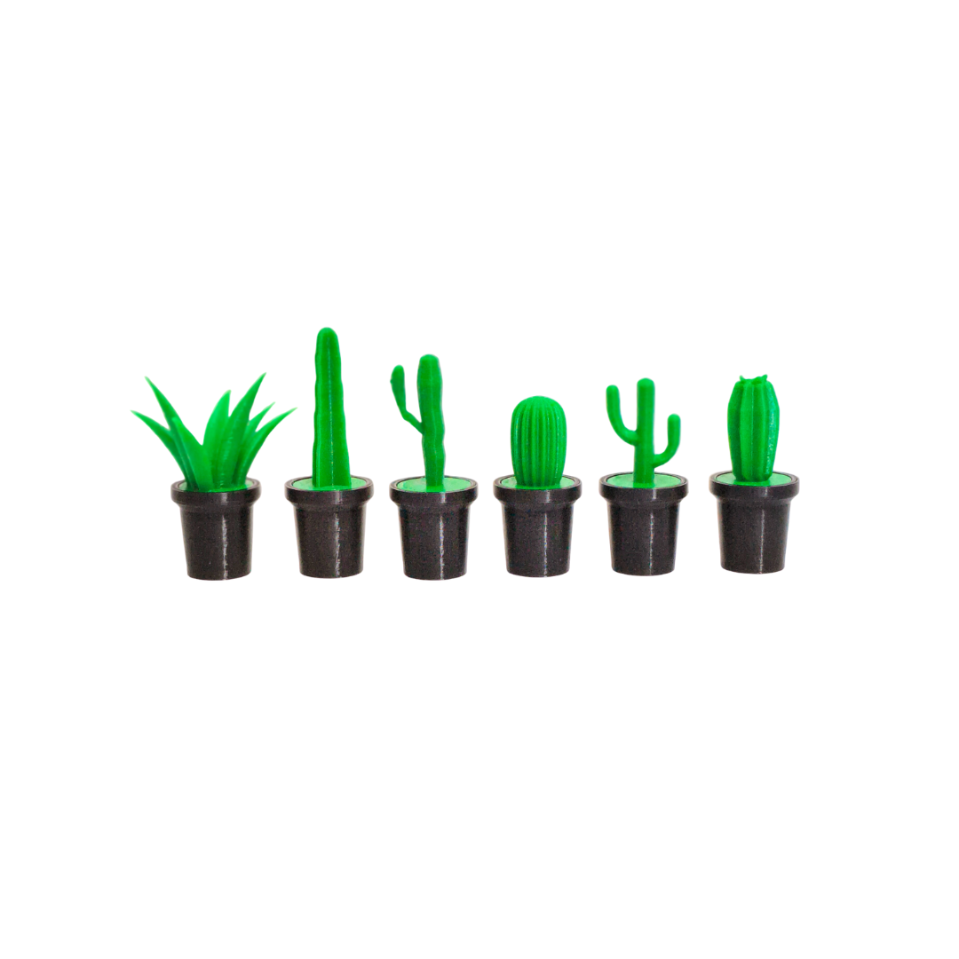 Cute Cactus Fridge Magnets | Decorative Magnets for Fridge, Whiteboard, Locker & Kitchen | Strong Magnetic Decor for Home & Office