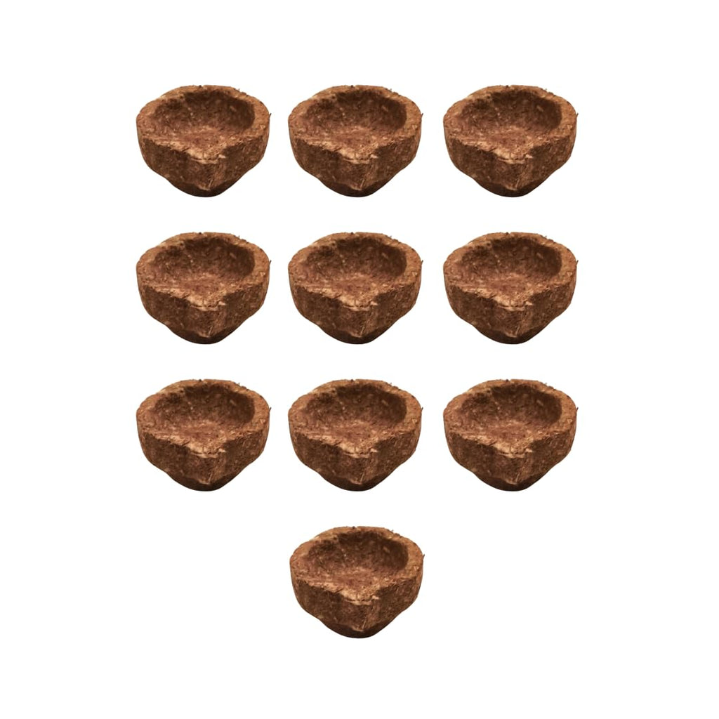 Panchagavya Vilakku with Lotus Wicks (10 Panchagavya Diya + 10 Lotus Wicks) gobar Diya Deepak Deepam for Pooja | Tamara vattulu pancha gavya deepa