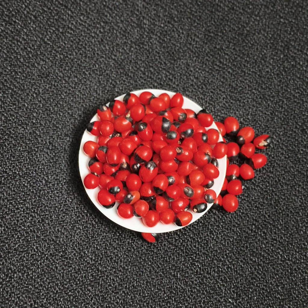 Red Kundumani Chirmi Seeds for Pooja (108 pcs) | Lal Gunja Beej | Sacred Puja Samagri for Lakshmi Worship