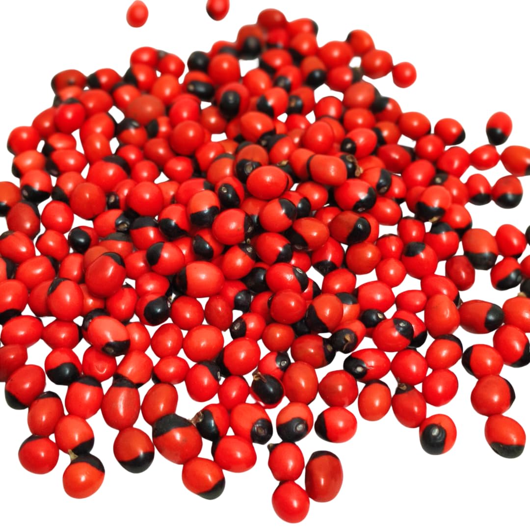 Red Kundumani Chirmi Seeds for Pooja 108 pcs Lal Gunja Beej